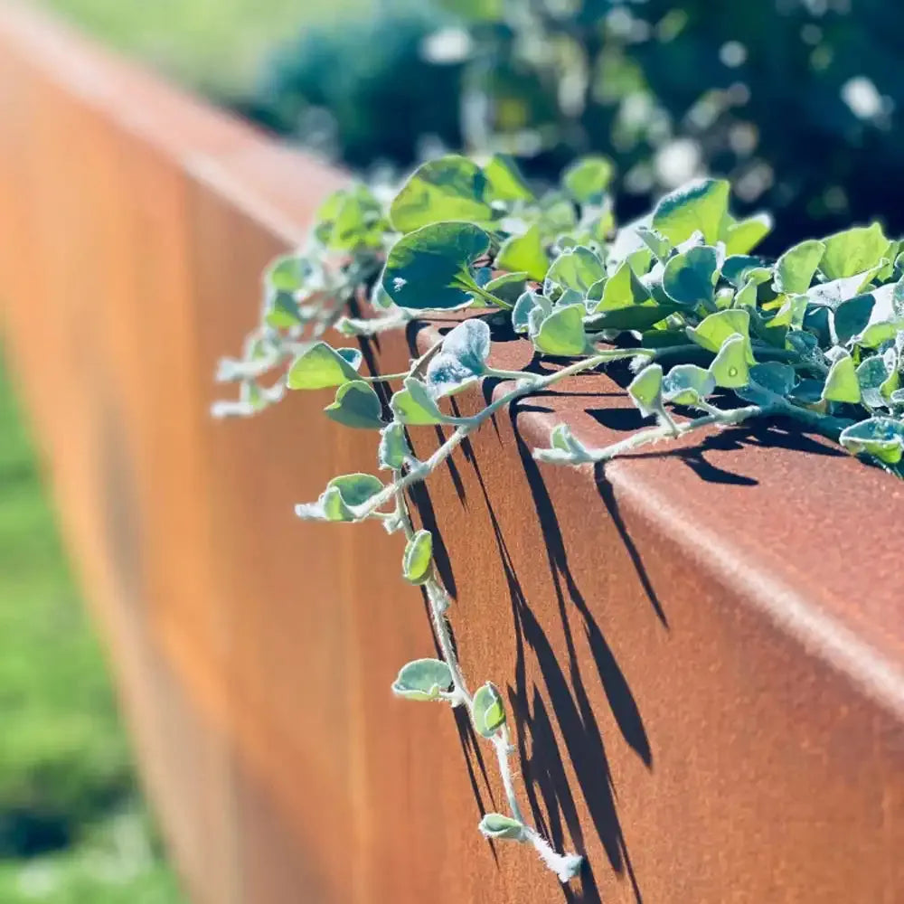 Weathered Steel Raised Garden Bed 1200 x 1200 + 600mm - Straightcurve - Australian Landscape Supplies