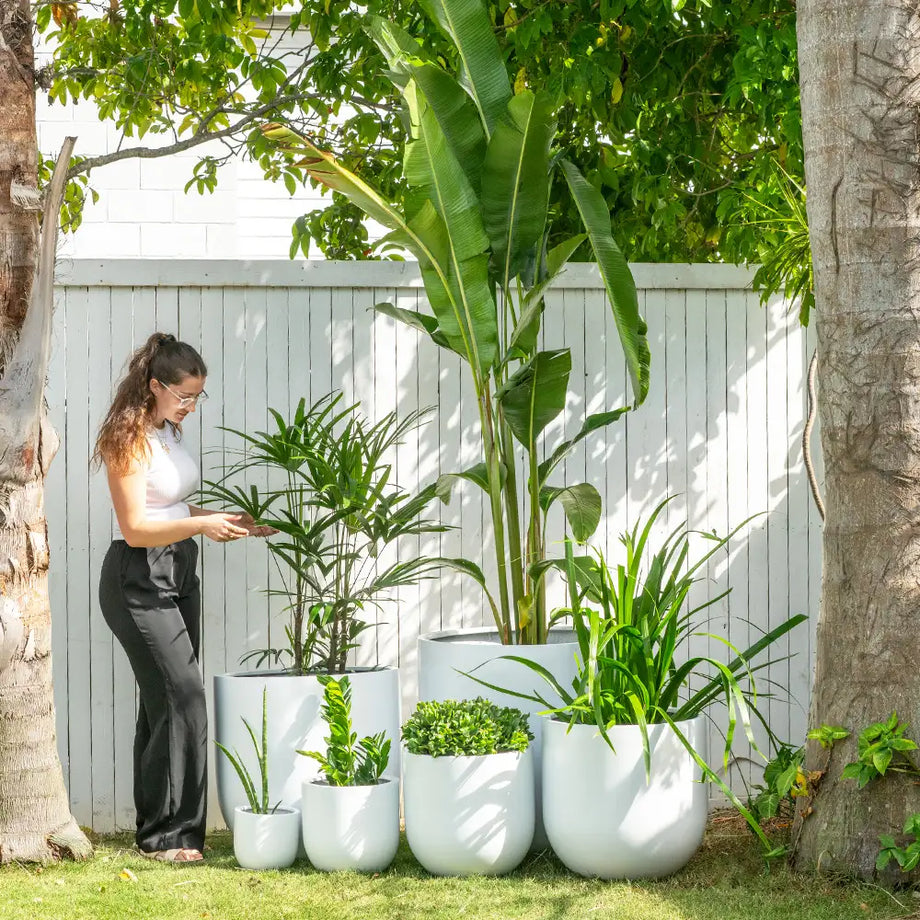 australia pot plant WHITSUNDAY Fibreglass Resin Garden Planter Pot – Australian Landscape  Supplies