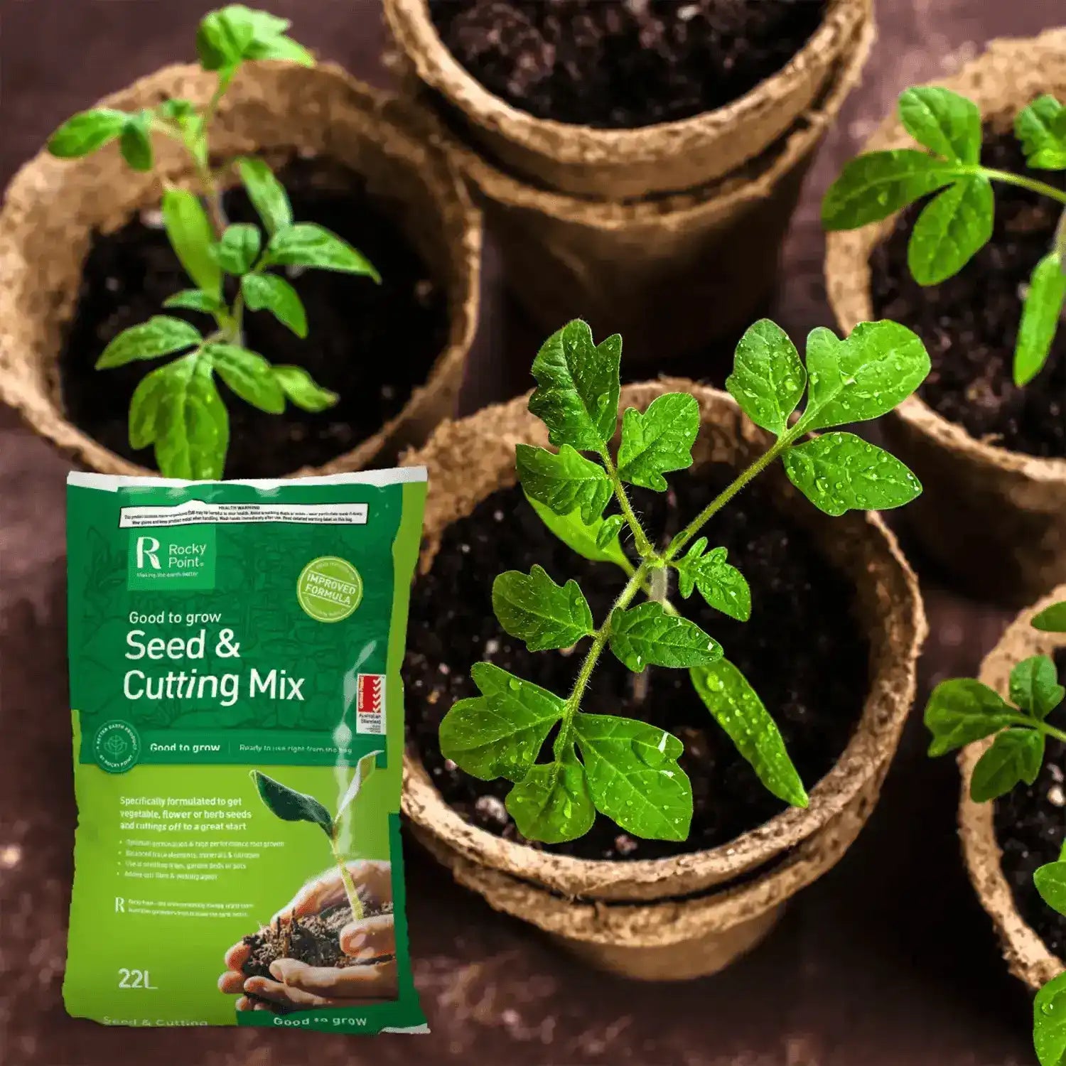seed and cutting potting mix Seed & Cutting Mix | Rocky Point