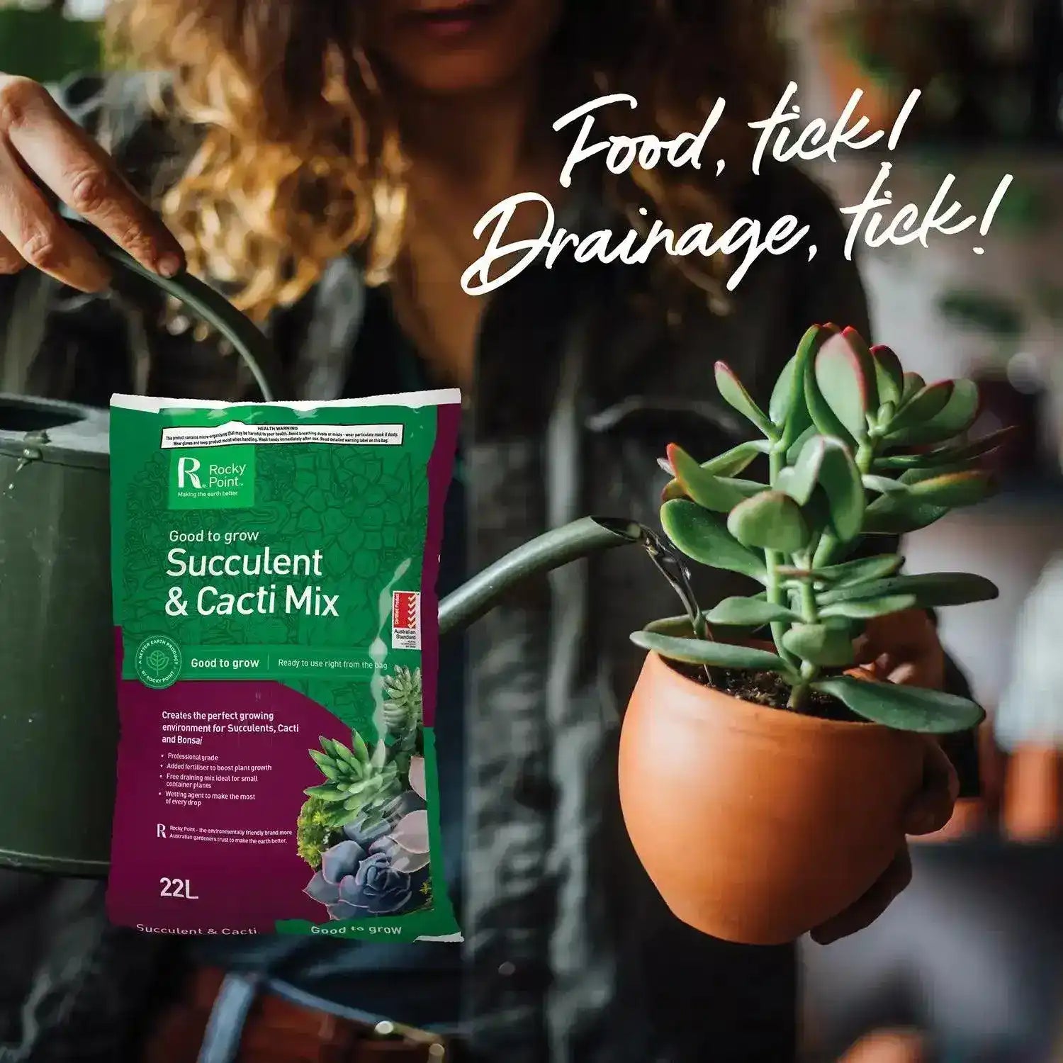 succulent point Succulent & Cacti Mix | Rocky Point