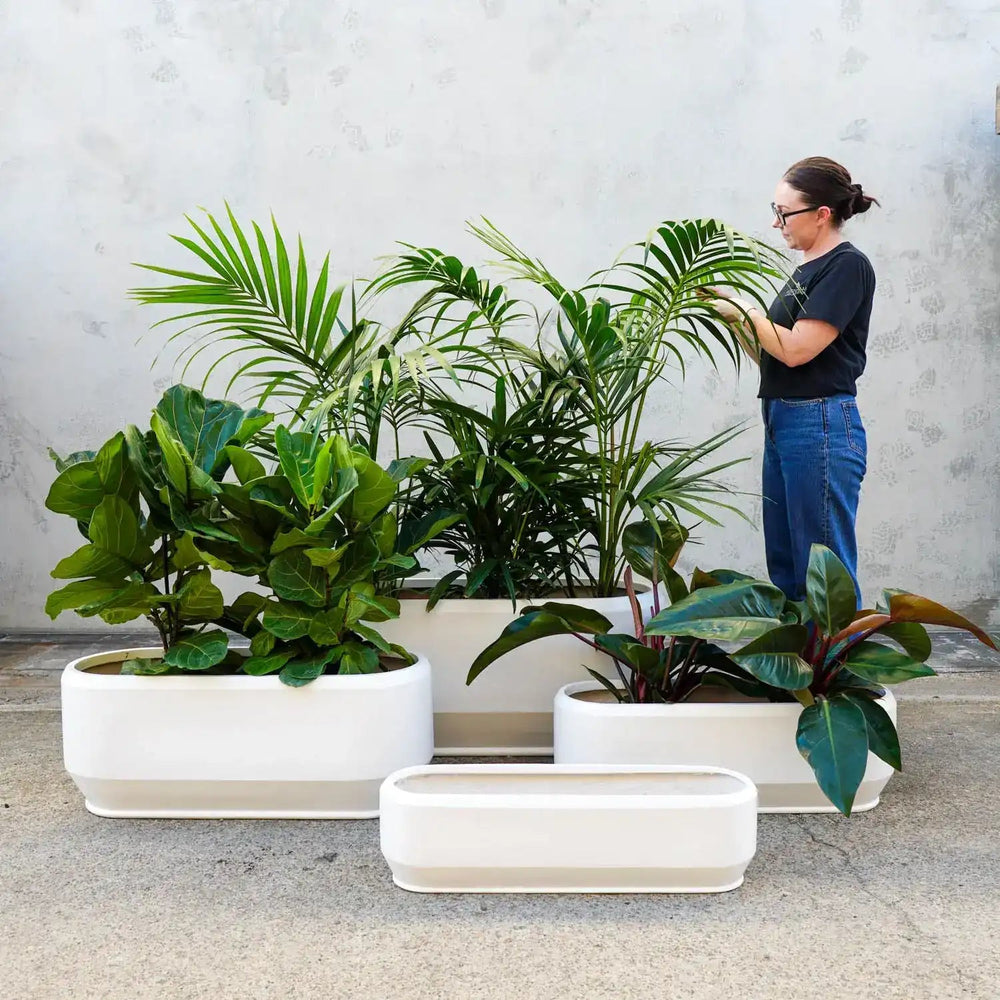 Troughs for Healthy Plants and Beautiful Gardens – Australian Landscape ...