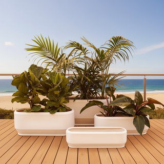 Troughs for Healthy Plants and Beautiful Gardens – Australian Landscape ...