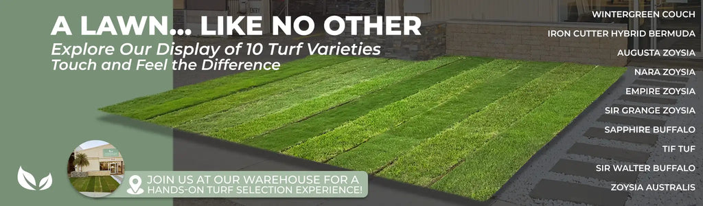 Explore our Lawn Display of 10 Turf Varieties at Australian Landscape Supplies in Brisbane