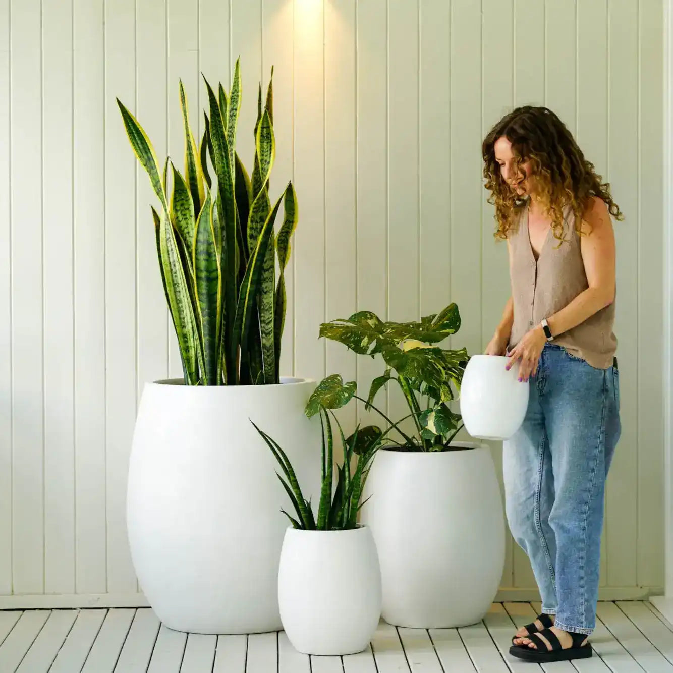 big white plant pot Zuma Pot Fibreglass Planter Pot – Australian Landscape Supplies