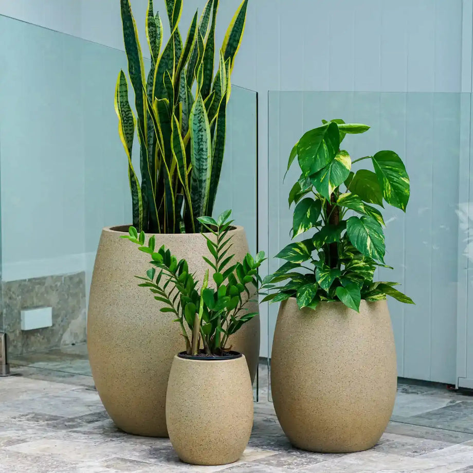 Zuma Pot Fibreglass Planter Pot – Australian Landscape Supplies