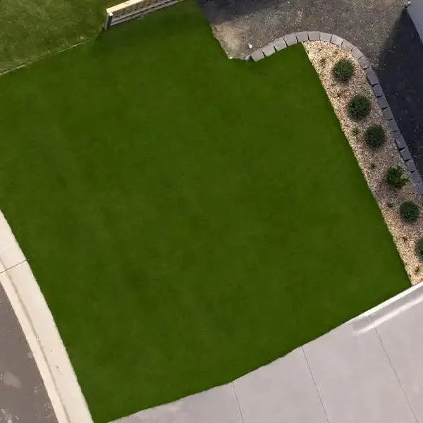 Zoysia Australis Grass | Hardy Turf - Australian Landscape Supplies