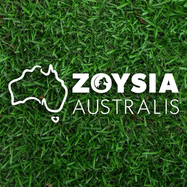 Zoysia Australis | Tough Hardy Turf /m2 Available from Australian Landscape Supplies