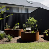 Raised Garden Bed Ring - Corten Steel