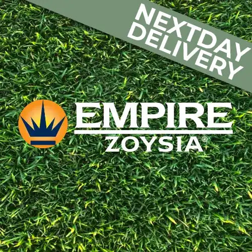 Empire Zoysia | Luxurious Turf /m2 | Lawns and Turf | Available for Next Day Delivery from Australian Landscape Supplies