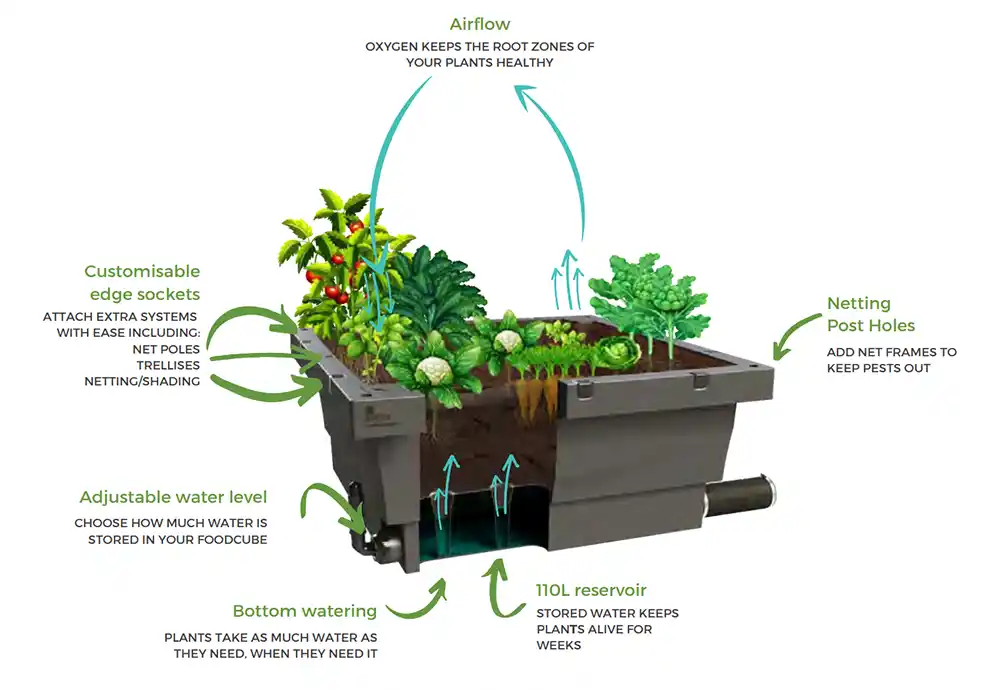 Foodcube Raised Garden Wicking Bed & Rocky Point Bundle - Australian Landscape Supplies