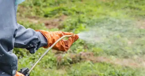 Herbicides and pesticides spraying