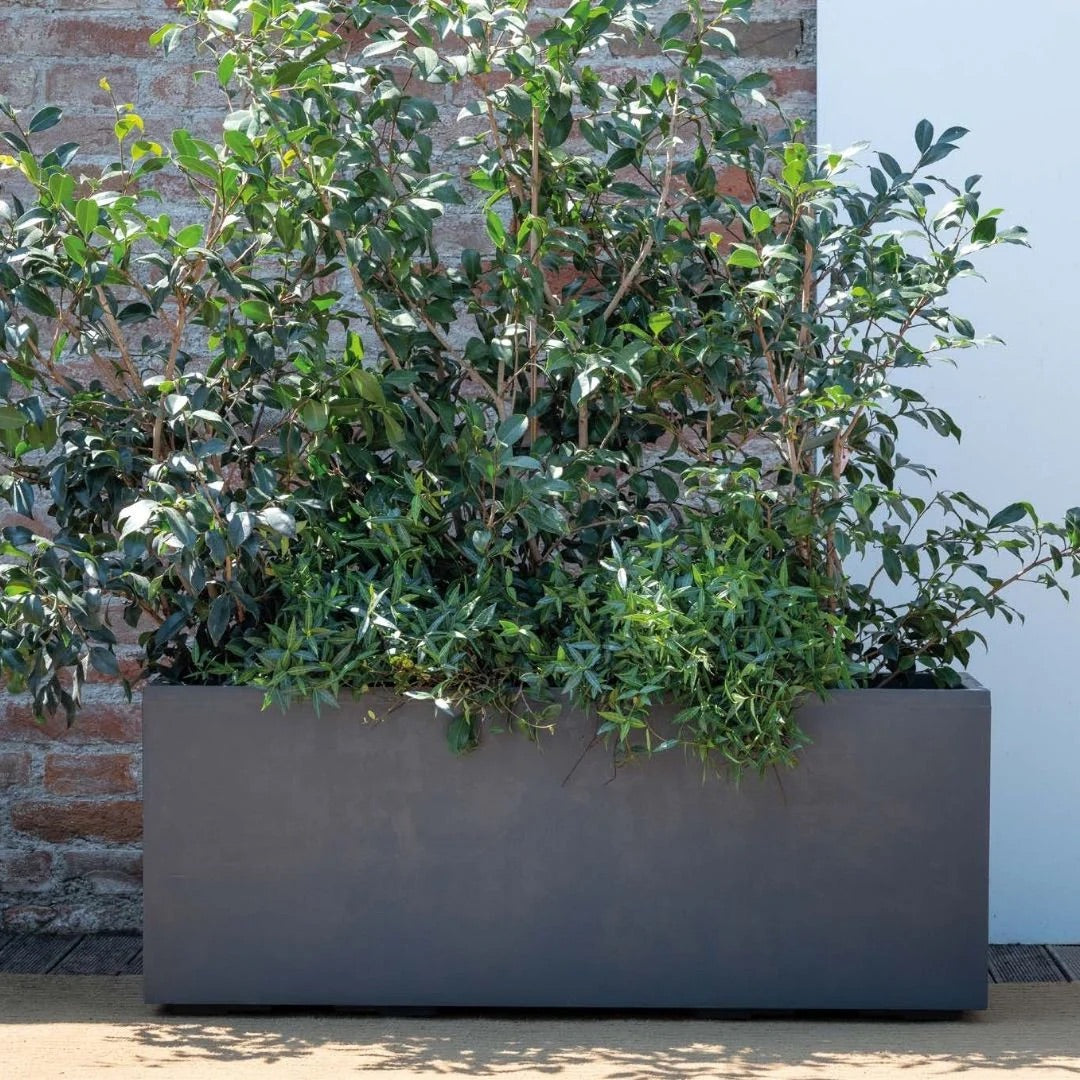 Troughs for Healthy Plants and Beautiful Gardens – Australian Landscape ...
