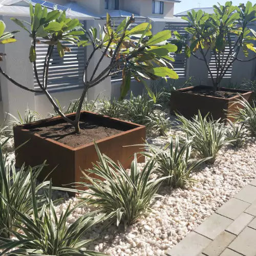 Straightcurve weathering steel planter boxes featured in a garden bed with plants surrounded by rocks