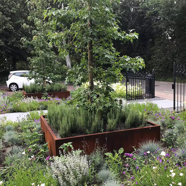 Planter Box 600x800mm - Corten Steel - Australian Landscape Supplies