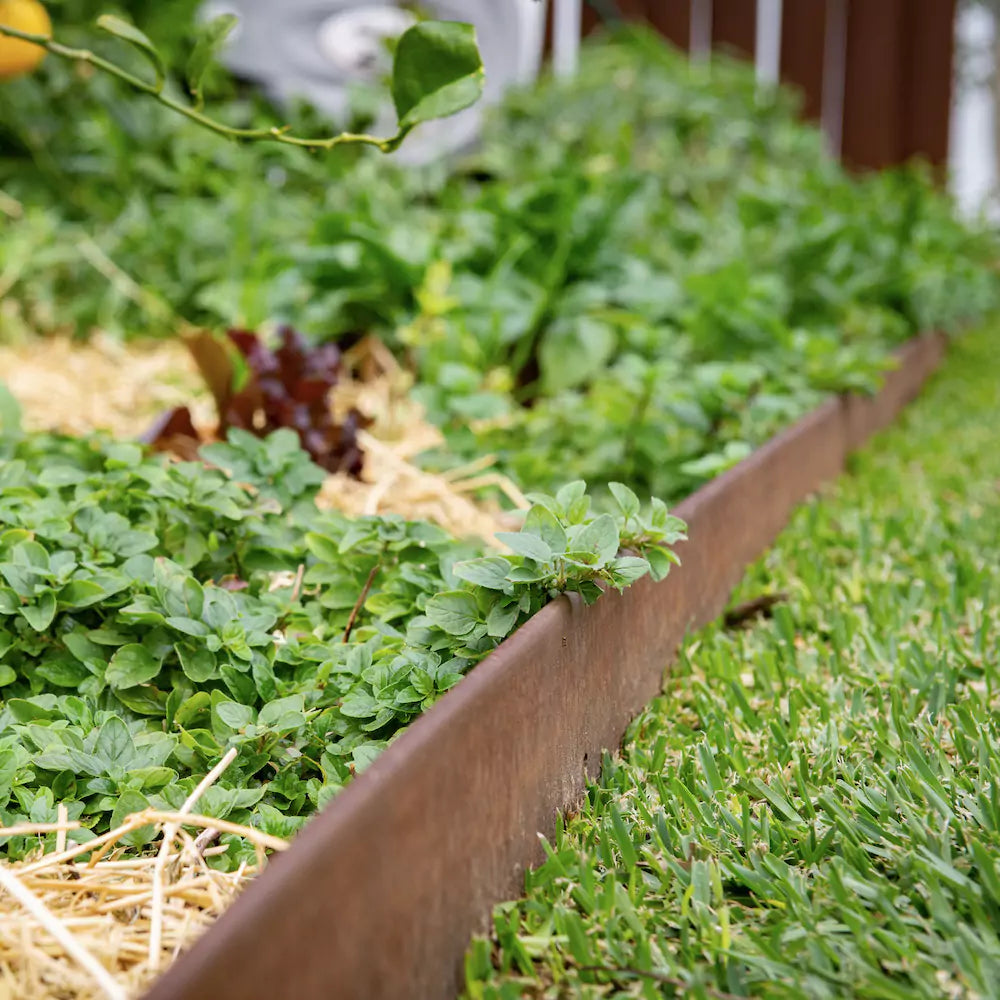 White Riggid Edge Steel Garden Edging - Australian Landscape Supplies
