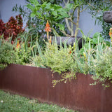 Rigid Raised Garden Bed - Corten Steel
