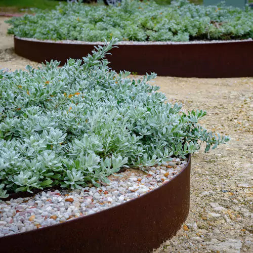Straightcurve weathering steel retaining garden bed.