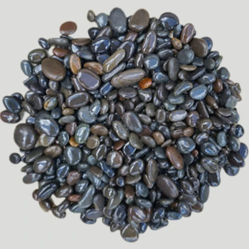 Sino Black - Natural Pebbles Small Wet | Decorative Pebbles | Australian Landscape Supplies