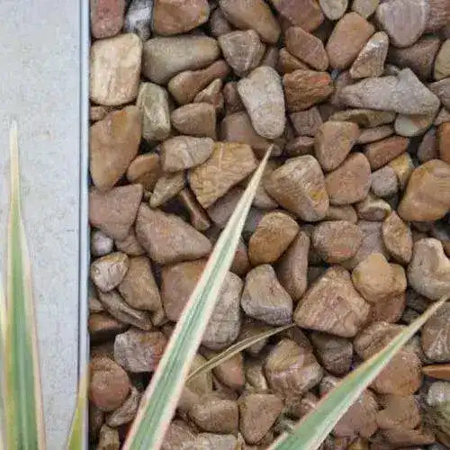 Woodgrain - Polished Pebbles - 20kg - Kashmiri - Australian Landscape Supplies