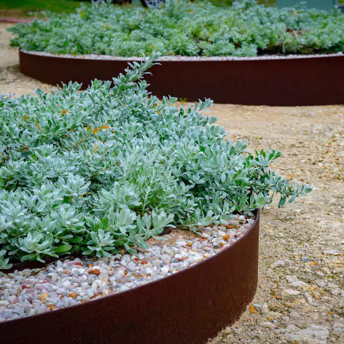 Flex Raised Garden Bed & Retaining Weathering Steel - Straightcurve | Garden Edging | Australian Landscape Supplies