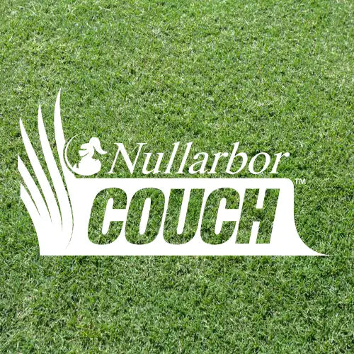 Nullarbor Couch | A Grade Turf /m2 | Grass | Australian Landscape Supplies